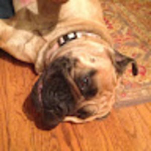 Meet your Posher, Kelly